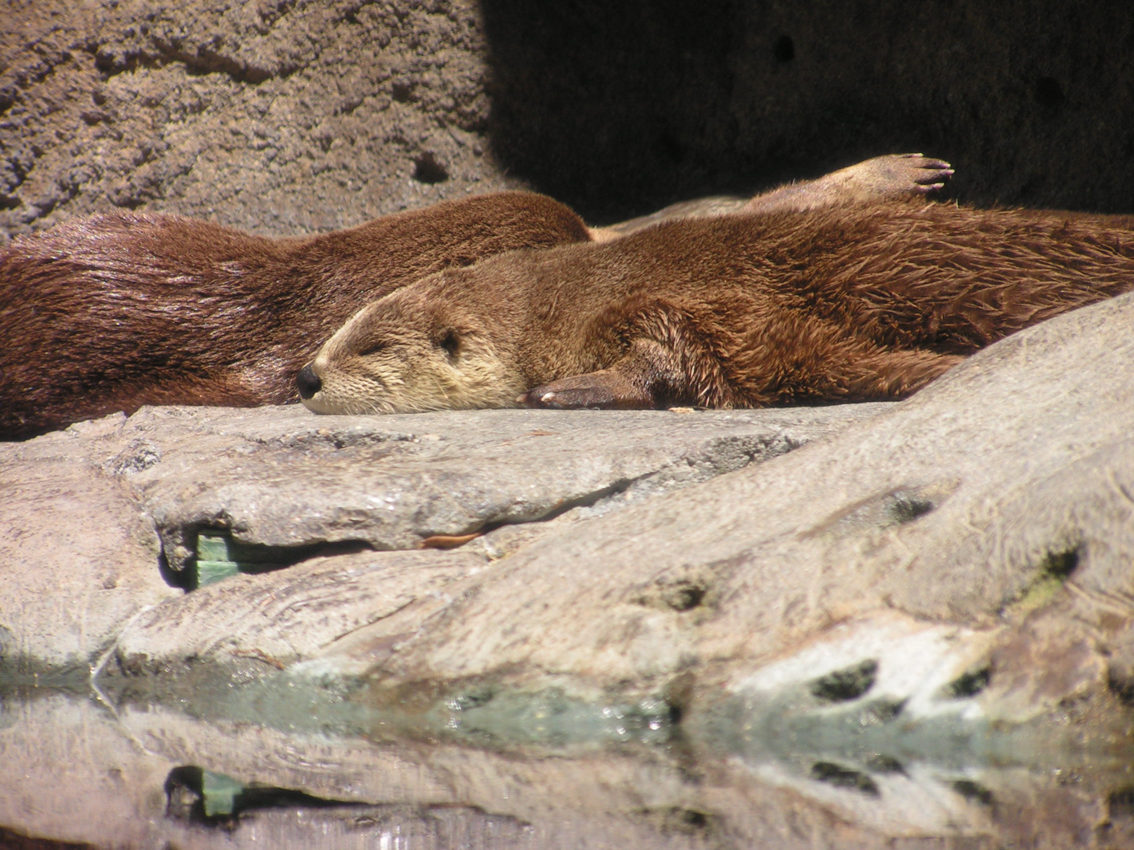 ./2005/Carina's School Trip/Six Gr Apr 28-9 0011.JPG